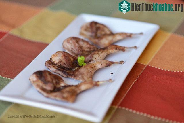 Thịt chim cút rất giàu vitamin, khoáng chất, lecithin...