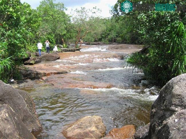 Nơi sinh sống của cá trê Phú Quốc