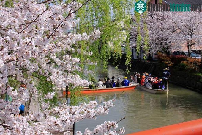 Yanagawa phù hợp để tham quan trong ngày, nhất khi bạn ở gần thành phố Hakata hoặc đền Dazaifu, Fukuoka.