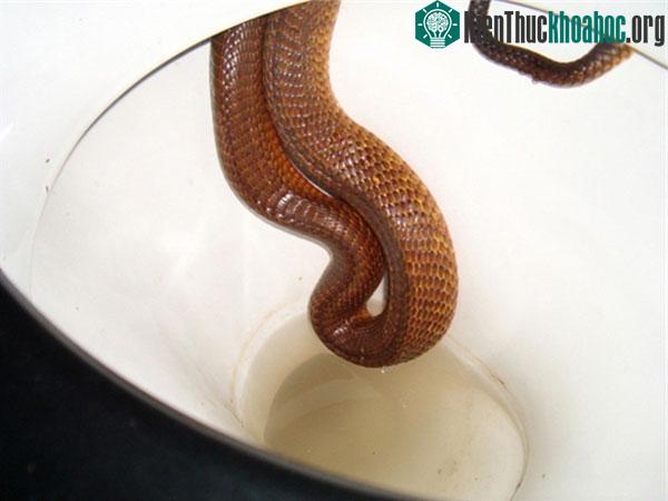 A, tất nhiên là chúng không quan tâm đến quyền riêng tư cá nhân lắm đâu.