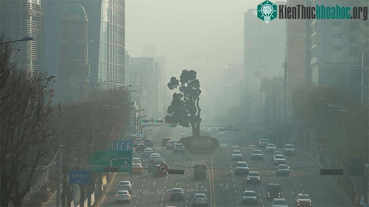 Bụi mịn bao phủ dày đặc tại Seoul, Hàn Quốc, ngày 13/1/2019.