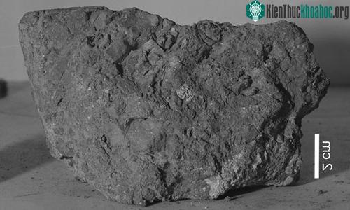 Mẫu đá do các phi hành gia của tàu vũ trụ Apollo 14 mang về.
