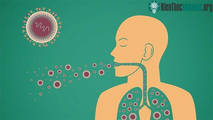 Nếu muốn kiểm tra tất cần giặt hay chưa, bạn chỉ nên ngửi thật nhanh rồi bỏ xuống.