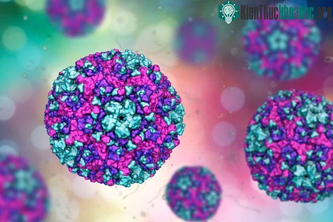 Dị tật tim ở thai nhi có liên quan đến virus coxsackie B trong quá trình mang thai ở phụ nữ.