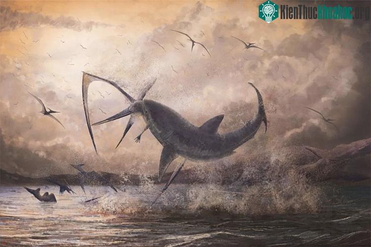 Chiếc răng thuộc về Cretoxyrhina mantelli, loài cá mập phổ biến sống cùng thời với thằn lằn có cánh.