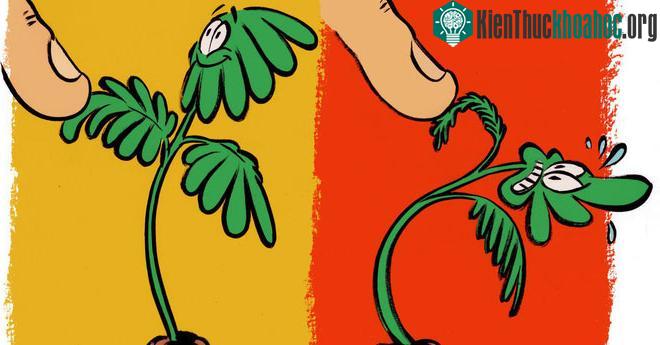 Thực vật chẳng hề thích thú gì với những cái đụng chạm thân mật của con người.
