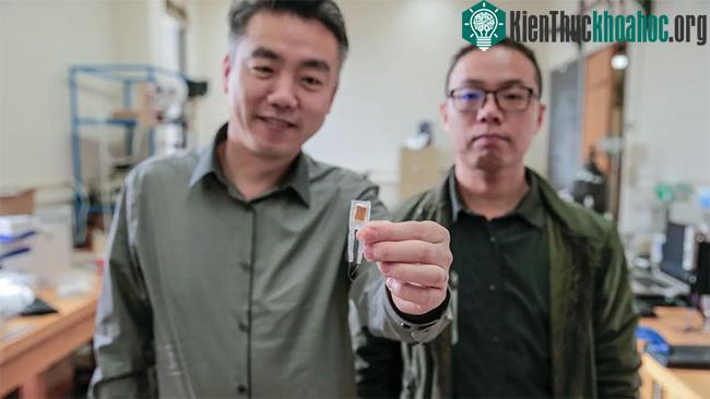Thiết bị này giúp kiểm soát trọng lượng cơ thể trong cuộc chiến chống nạn béo phì