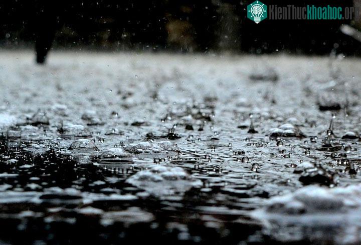 Mưa không hề có mùi hương, chúng đến từ mặt đất và cả trên trời.