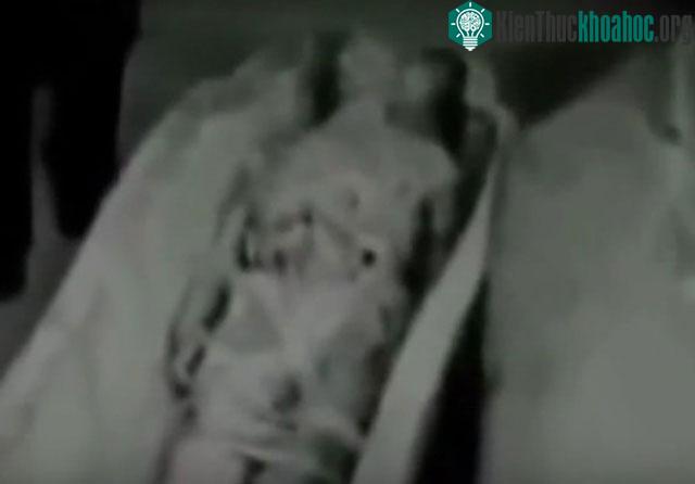 Xác ướp được cho là người ngoài hành tinh được các đặc vụ KGB phát hiện.