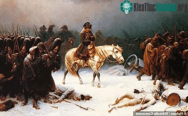 Hoàng đế Pháp Napoleon phải rút quân sau thất bại muối mặt ở Moscow.