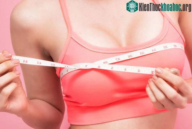 Chỉ duy nhất con người có bộ ngực lớn.