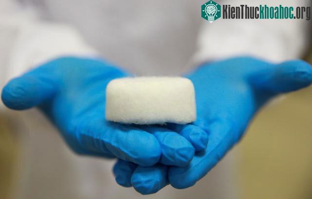 Một nhà nghiên cứu giới thiệu mẫu vật liệu siêu nhẹ làm từ chai nhựa tái chế