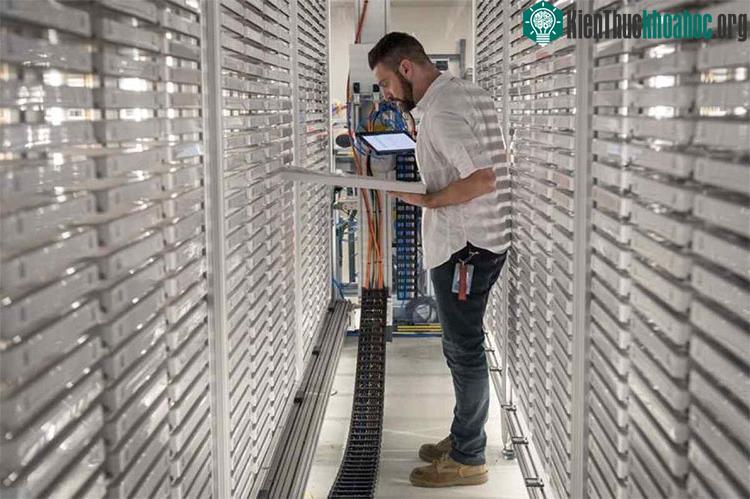 Một nhân viên của Verily đang kiểm tra khay ấu trùng muỗi tại nhá máy ở bang California – Mỹ. (Ảnh: BLOOMBERG).