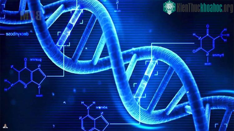 Đây là dự án về hệ gene được cho là có quy mô lớn nhất Đông Nam Á. (Ảnh minh họa: ST).