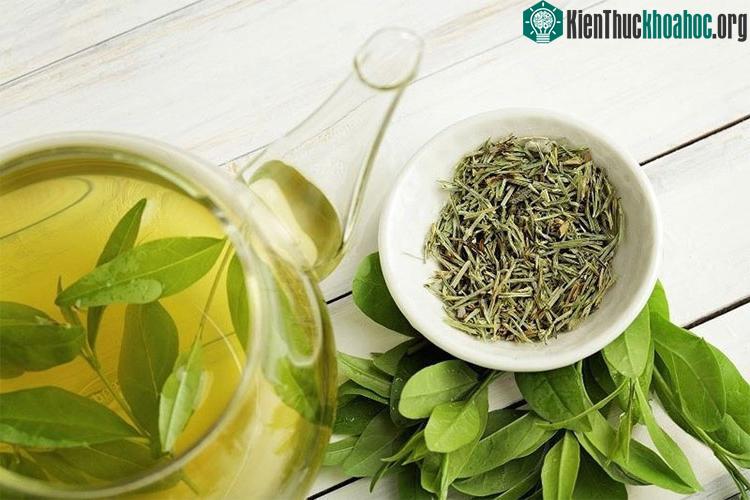 9 loại thực phẩm giúp bạn trông trẻ hơn tuổi ảnh 0
