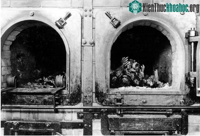 Tù nhân đứng điểm danh ở trại tập trung Buchenwald. Hai tù nhân hàng trên đang giữ một người bạn cho khỏi ngã, bởi vì các trại tập trung thường viện cớ phải “loại bỏ” những người tù “vô dụng”. Bức ...