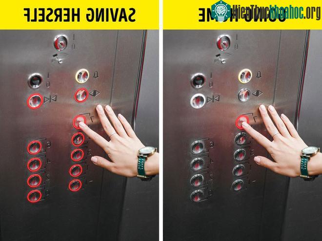 Dự đoán thời tiết chỉ với một cốc nước