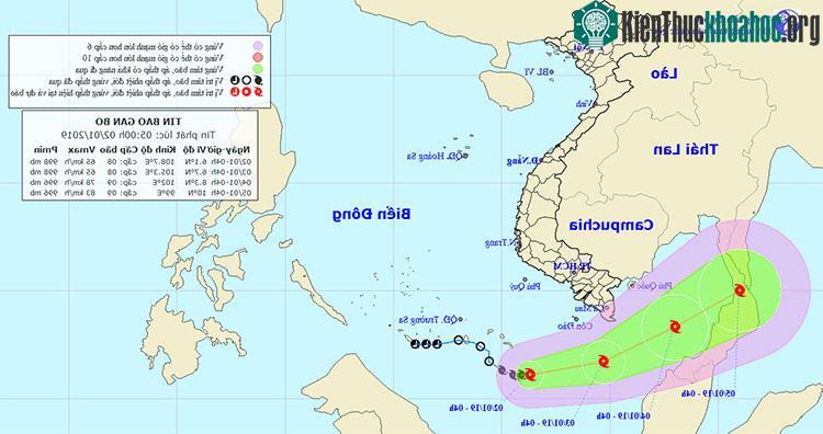 Hơn 2.000 tàu thuyền ở Cà Mau đã vào nơi neo đậu an toàn trong sáng 2/1. (Ảnh: Hoàng Hạnh).