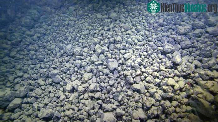 Enceladus, mặt trăng của Sao Thổ, nơi các nhà khoa học hy vọng tìm thấy sự sống ngoài hành tinh - (ảnh: DAILY EXPRESS).