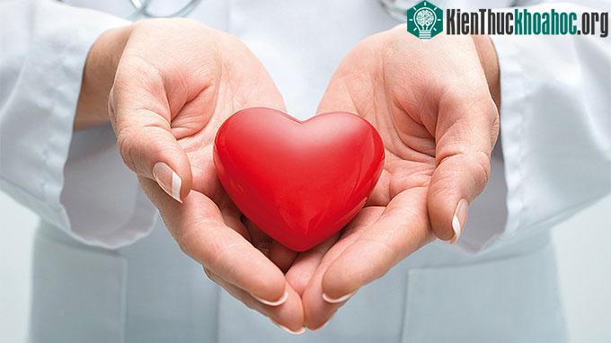 Lượng nước tiểu trung bình