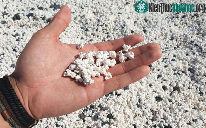 Sự thật bất ngờ đằng sau bãi biển toàn "bỏng ngô" ở Tây Ban Nha ảnh 2