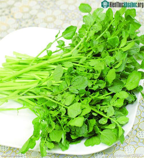 Hàm lượng vitamin C trong cải xoong giúp kích thích và cải thiện hệ thống miễn dịch.