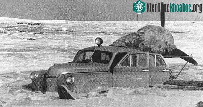 Việc tạo ra những cỗ máy lai giữa xe hơi và máy bay này hóa ra lại là một thử nghiệm "hao tiền tốn của".