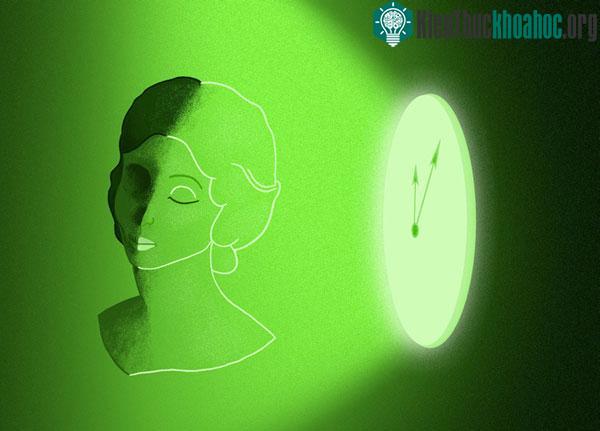 Marie Curie là người phụ nữ đầu tiên trên thế giới vinh dự nhận được hai Giải Nobel trong hai lĩnh vực khác nhau, là Vật lý và Hóa học. Ảnh: Internet.
