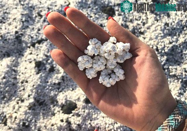 Sự thật bất ngờ đằng sau bãi biển toàn "bỏng ngô" ở Tây Ban Nha ảnh 4
