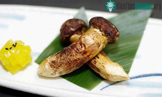 Nấm Matsutake