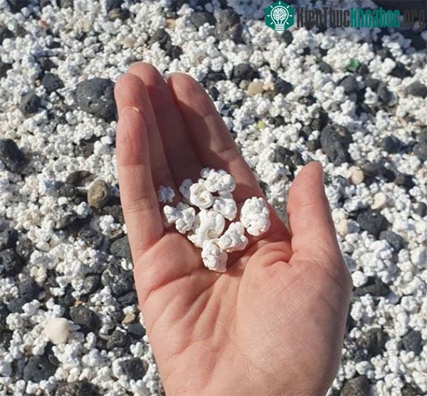 Sự thật bất ngờ đằng sau bãi biển toàn "bỏng ngô" ở Tây Ban Nha ảnh 6
