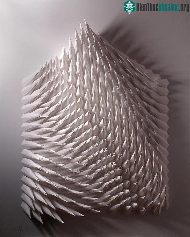 Những tác phẩm do Matt Shlian tạo ra