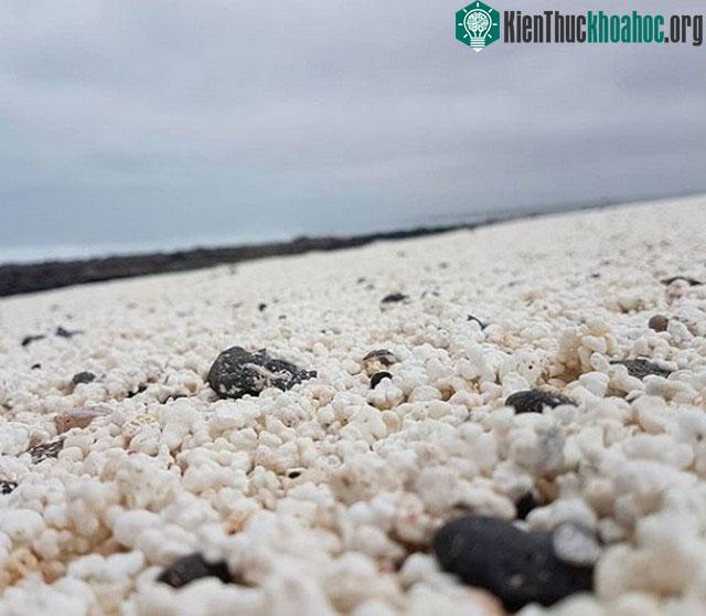 Sự thật bất ngờ đằng sau bãi biển toàn "bỏng ngô" ở Tây Ban Nha