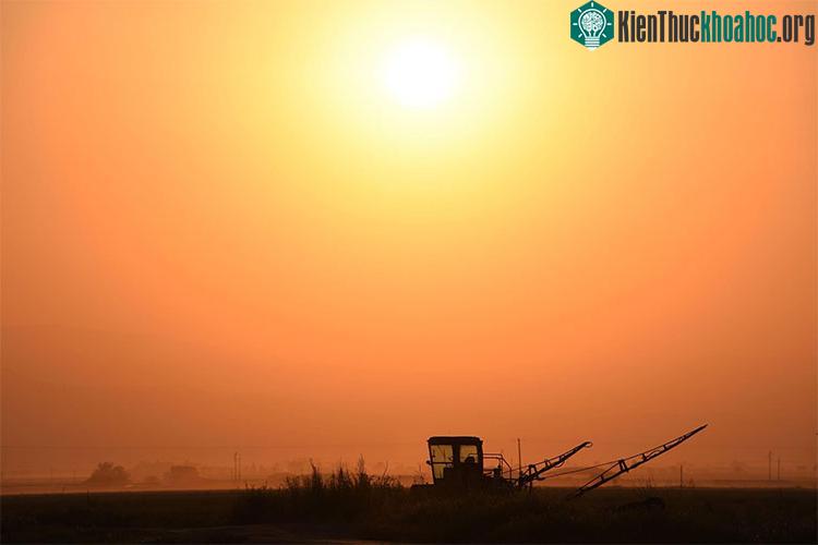 Quang cảnh một cánh đồng trong nắng gắt ở gần Bakersfield, bang California, Mỹ.