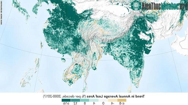 Diện tích phủ xanh trung bình tại các khu vực từ năm 2000-2017.