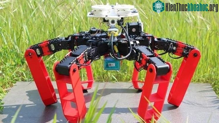 AntBot có khả năng định hướng chính xác tới 0,4 độ trong mọi điều kiện thời tiết.