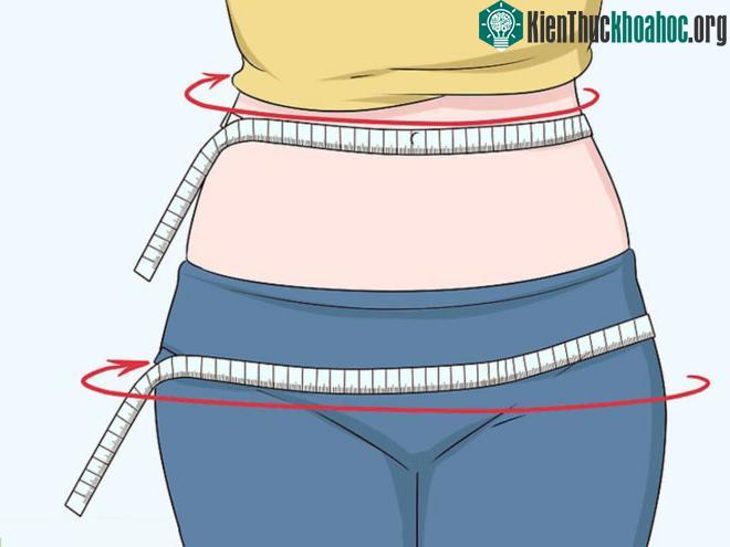 Tỷ lệ WHR lý tưởng là 0,7. (Ảnh: Health Jade).
