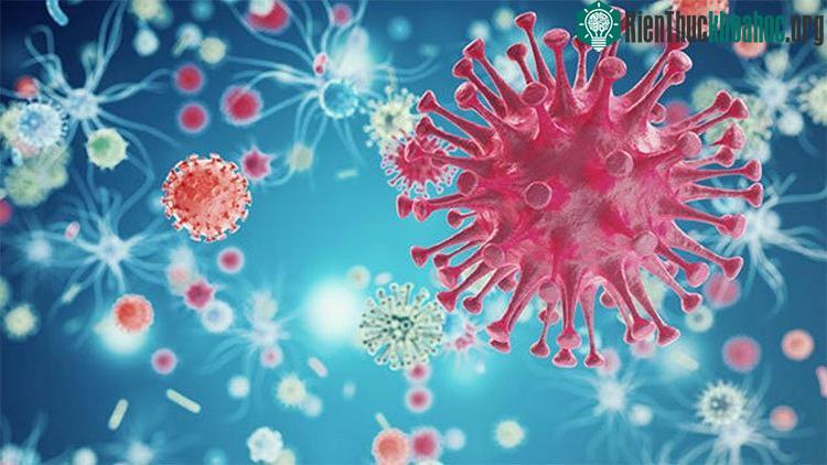 Retrovirus là một họ virus lớn, gồm cả HIV, virus chịu trách nhiệm cho đại dịch AIDS.