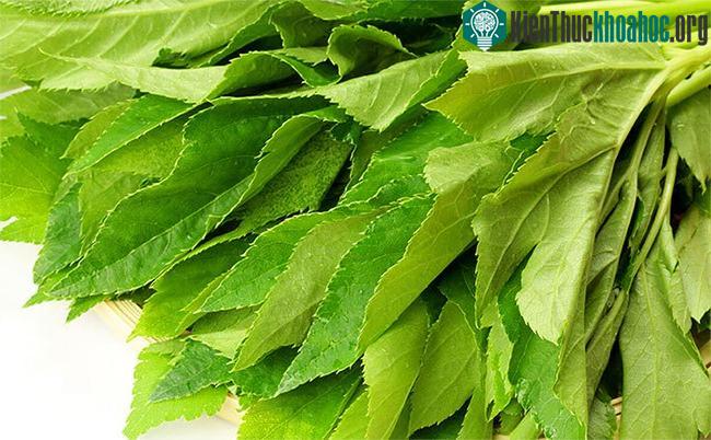 Món rau của các samurai chứa bí mật trường sinh ảnh 0
