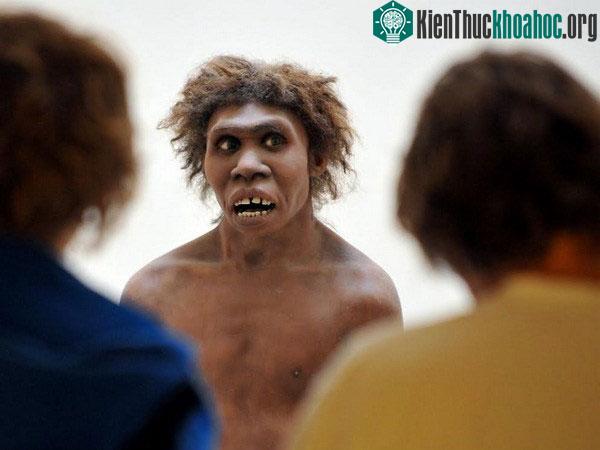 Người Neanderthal.