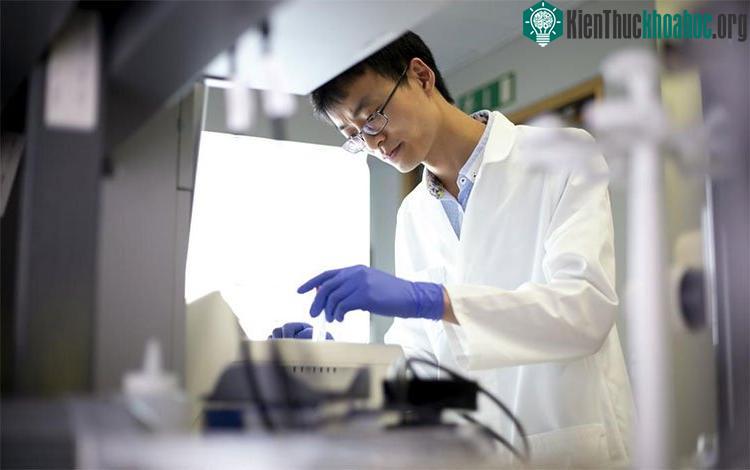 Công cụ tiên tiến này có khả năng phát hiện ung thư dễ dàng, nhanh chóng chỉ với một lượng máu rất nhỏ. (Ảnh: Medical News Today).