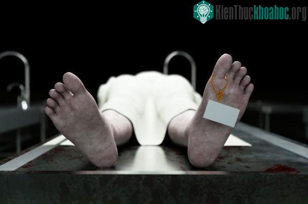 Thiết bị đo giờ chết này sẽ không được đưa vào sản xuất hàng loạt.