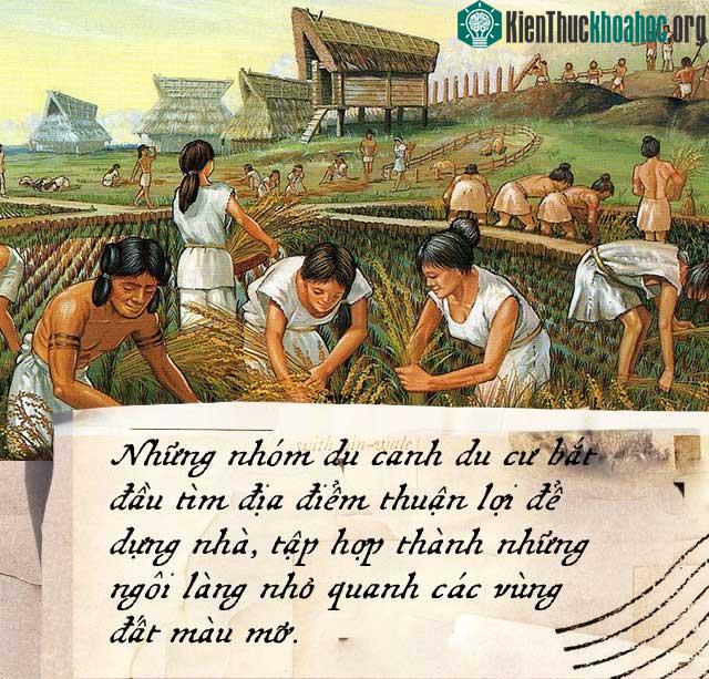 Người của Thời kỳ Đồ đá mang theo hạt giống mỗi chuyến du hành, rải hạt trên những khoảnh đất màu mỡ để năm sau có thể thu hoạch.