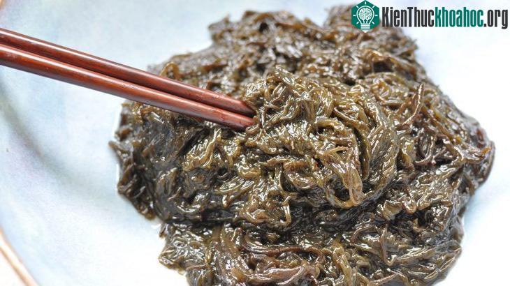 Rong biển Ito mozuku chứa nồng độ Fucoidan cao.