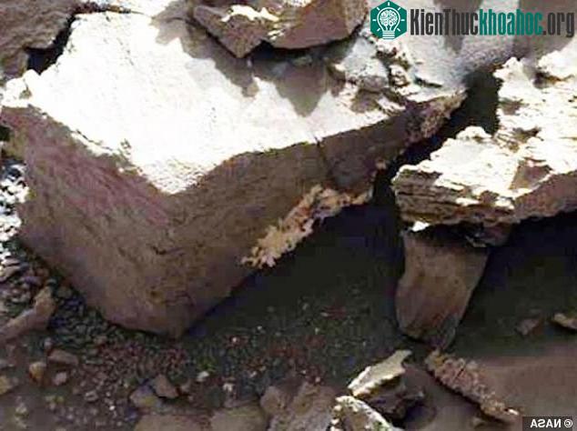 Các nhà khoa học tin rằng các sinh vật đã mọc lên khỏi bề mặt cằn cỗi của sao Hỏa chỉ trong 3 ngày.