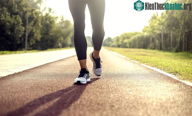 Tăng thêm 1.000 bước mỗi ngày sẽ giúp giảm 6% nguy cơ tử vong sớm với bất kì nguyên nhân nào.
