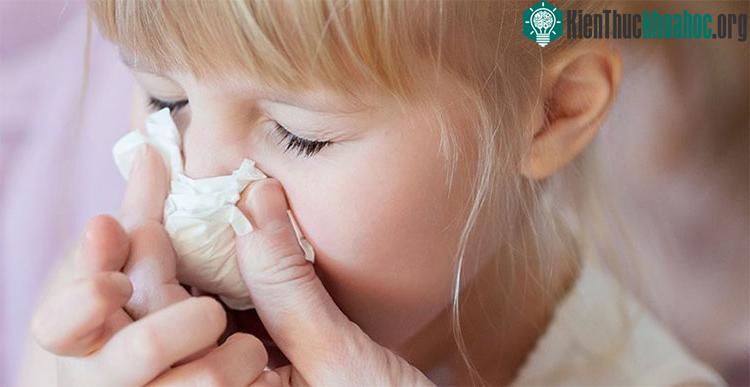 Các virus cúm gây ra đại dịch đều thuộc chủng cúm A.