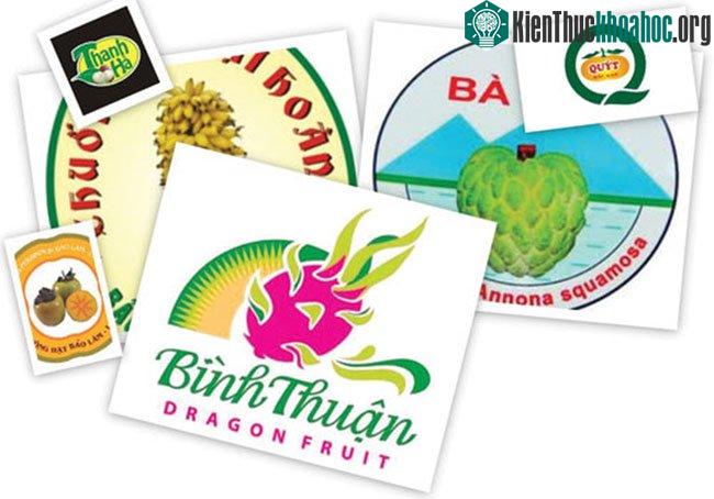 Việt Nam hiện có 63 sản phẩm nông sản được bảo hộ chỉ dẫn địa lý.
