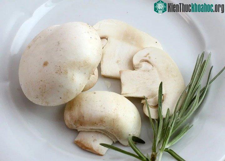 Có một số loại nấm an toàn cho chó.