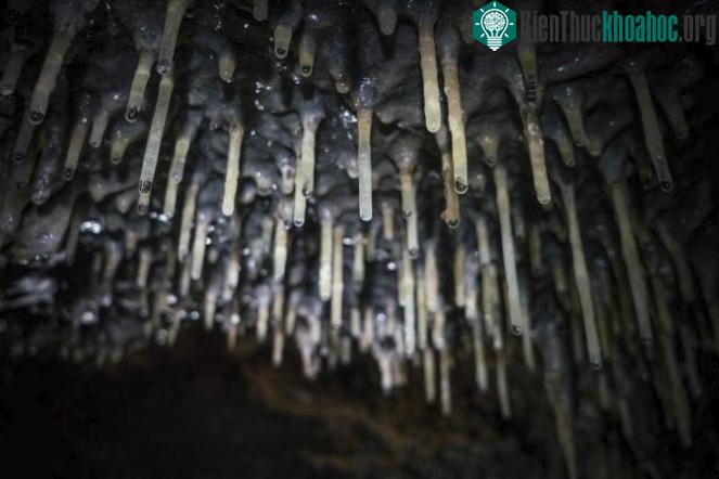 Hệ thống hang động được gọi là Balamku.